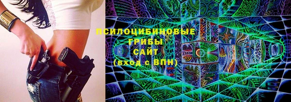 spice Армянск
