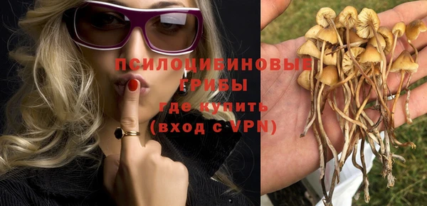 spice Армянск