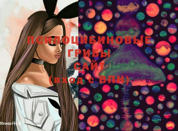 PSILOCYBIN Арсеньев