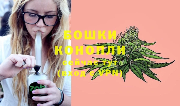 PSILOCYBIN Арсеньев