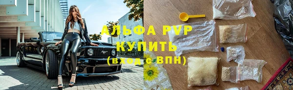 стафф Аркадак