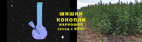 PSILOCYBIN Арсеньев